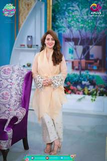 Farah Hussain feet photo 20