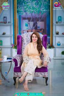 Farah Hussain feet photo 18