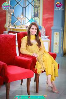 Farah Hussain feet photo 13