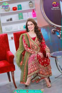 Farah Hussain feet photo 12