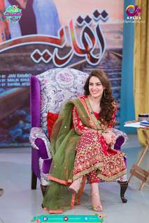 Farah Hussain feet photo 11