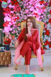 Farah Hussain feet photo 9