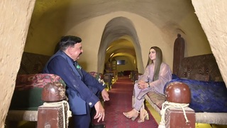 Farah Hussain feet photo 18