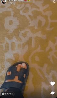 Faryal Makhdoom feet photo 7