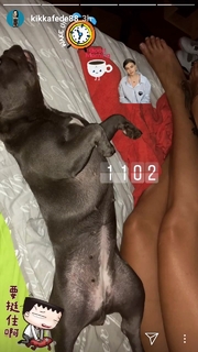 Federica Pellegrini feet photo thumbnail
