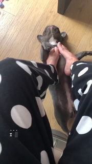 Federica Pellegrini feet photo thumbnail