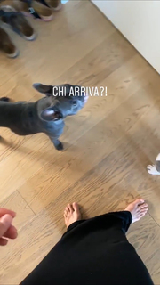 Federica Pellegrini feet photo thumbnail