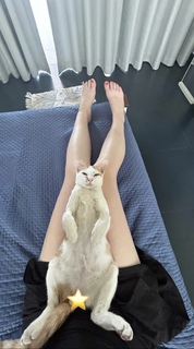 Fern Brady feet photo 7
