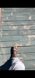 Fernanda Motta feet photo 11