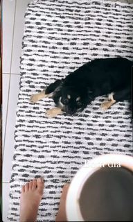 Fernanda Paes Leme feet photo thumbnail