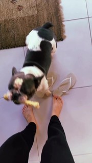 Fernanda Schneider feet photo 12