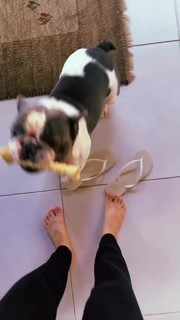 Fernanda Schneider feet photo 11