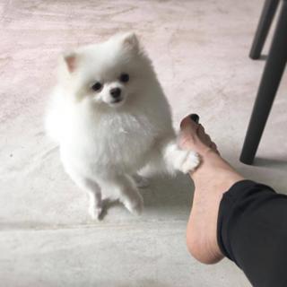 Fernanda Vasconcellos feet photo thumbnail