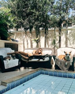 Fernanda de Freitas feet photo thumbnail