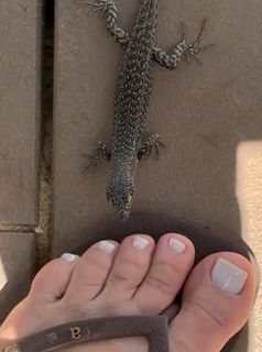 Fernanda de Freitas feet photo thumbnail