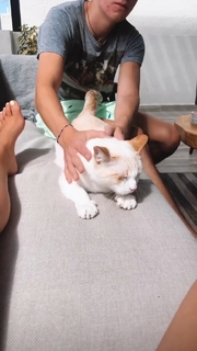 Ferny Graciano feet photo 17