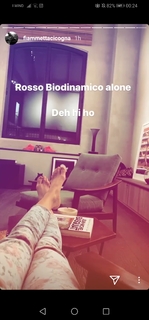 Fiammetta Cicogna feet photo 11