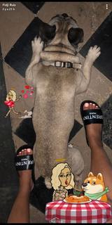 Fidji Ruiz feet photo 19