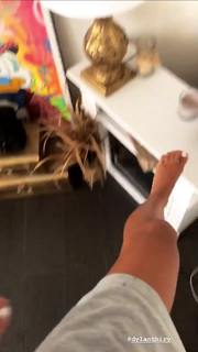 Fidji Ruiz feet photo 18