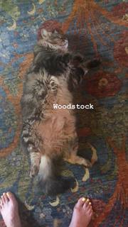 Fiona Dourif feet photo thumbnail