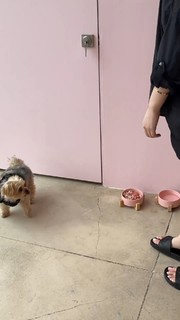 Fiona Fan feet photo thumbnail