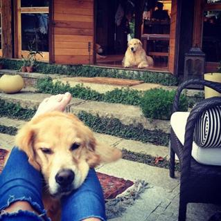 Fiorella Mattheis feet photo thumbnail