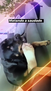 Fiorella Mattheis feet photo thumbnail