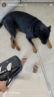 Fiorella Mattheis feet photo thumbnail