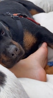 Fiorella Mattheis feet photo thumbnail