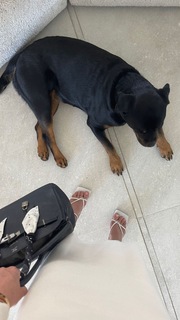 Fiorella Mattheis feet photo thumbnail