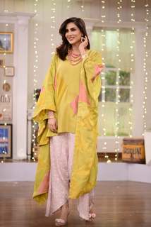 Fiza Ali feet photo 17