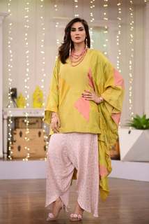 Fiza Ali feet photo 16