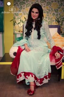 Fiza Ali feet photo 6