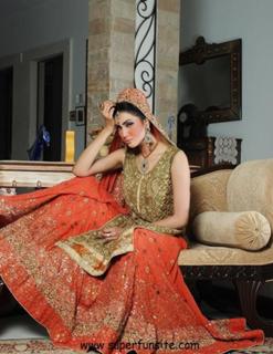 Fiza Ali feet photo 5