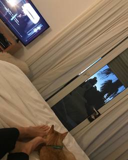 Flavia Palmiero feet photo thumbnail