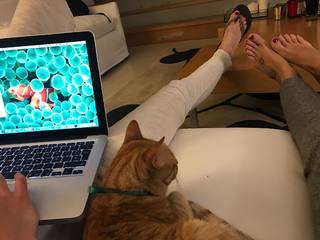 Flavia Palmiero feet photo thumbnail