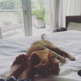 Flavia Palmiero feet photo thumbnail