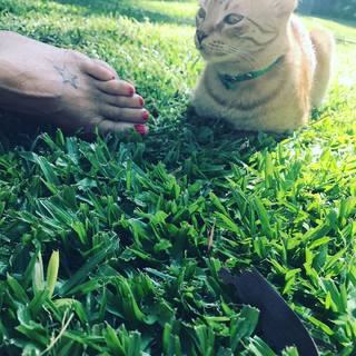 Flavia Palmiero feet photo thumbnail