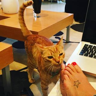 Flavia Palmiero feet photo thumbnail