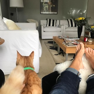 Flavia Palmiero feet photo thumbnail