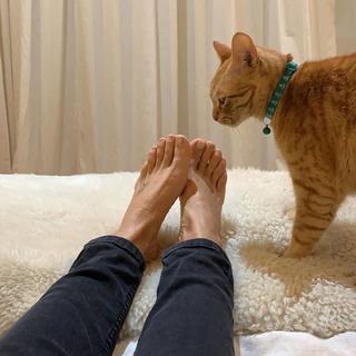 Flavia Palmiero feet photo thumbnail