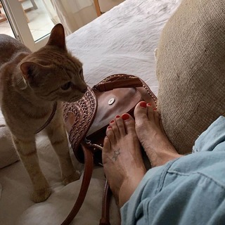 Flavia Palmiero feet photo thumbnail