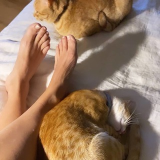 Flavia Palmiero feet photo thumbnail