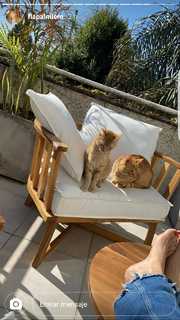 Flavia Palmiero feet photo thumbnail