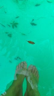 Flavia Palmiero feet photo thumbnail