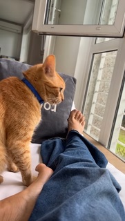 Flavia Palmiero feet photo thumbnail