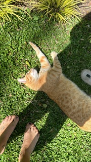 Flavia Palmiero feet photo thumbnail