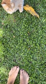 Flavia Palmiero feet photo thumbnail