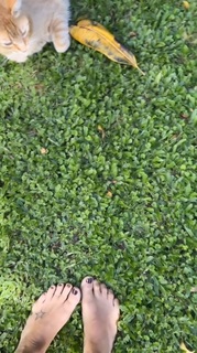 Flavia Palmiero feet photo thumbnail