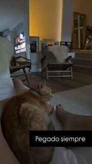 Flavia Palmiero feet photo thumbnail